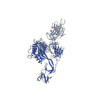 30894_7dx3_B_v1-2
S protein of SARS-CoV-2 bound with PD of ACE2 in the conformation 1 (1 up RBD and no PD bound)
