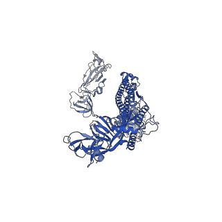 30894_7dx3_C_v1-2
S protein of SARS-CoV-2 bound with PD of ACE2 in the conformation 1 (1 up RBD and no PD bound)