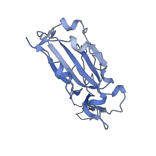 30895_7dx4_E_v1-1
The structure of FC08 Fab-hA.CE2-RBD complex