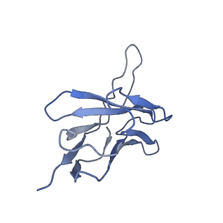 30895_7dx4_H_v1-1
The structure of FC08 Fab-hA.CE2-RBD complex