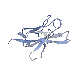30895_7dx4_L_v1-1
The structure of FC08 Fab-hA.CE2-RBD complex