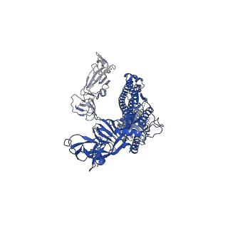 30896_7dx5_C_v1-2
S protein of SARS-CoV-2 bound with PD of ACE2 in the conformation 2 (1 up RBD and 1 PD bound)