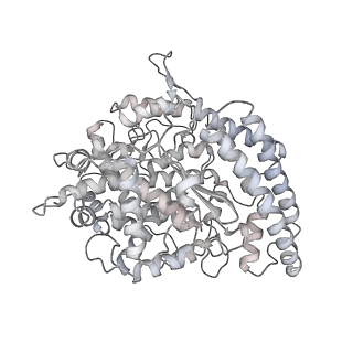 30896_7dx5_D_v1-2
S protein of SARS-CoV-2 bound with PD of ACE2 in the conformation 2 (1 up RBD and 1 PD bound)