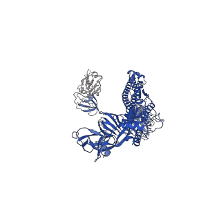 30897_7dx6_C_v1-2
S protein of SARS-CoV-2 bound with PD of ACE2 in the conformation 3 (2 up RBD and 1 PD bound)