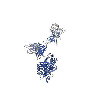 30898_7dx7_A_v1-2
Trypsin-digested S protein of SARS-CoV-2 bound with PD of ACE2 in the conformation 1 (1 up RBD and 1 PD bound)