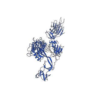 30898_7dx7_B_v1-2
Trypsin-digested S protein of SARS-CoV-2 bound with PD of ACE2 in the conformation 1 (1 up RBD and 1 PD bound)