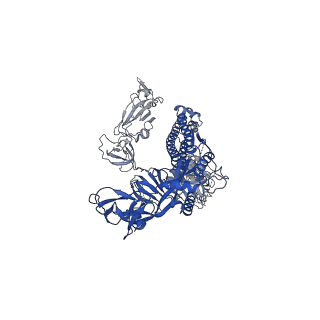 30898_7dx7_C_v1-2
Trypsin-digested S protein of SARS-CoV-2 bound with PD of ACE2 in the conformation 1 (1 up RBD and 1 PD bound)