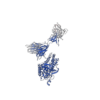 30899_7dx8_A_v1-2
Trypsin-digested S protein of SARS-CoV-2 bound with PD of ACE2 in the conformation 2 (2 up RBD and 2 PD bound)