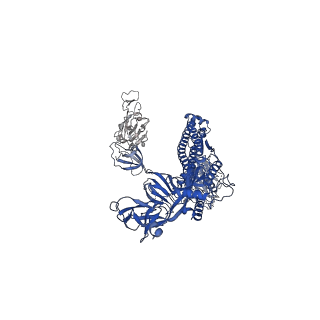 30899_7dx8_C_v1-2
Trypsin-digested S protein of SARS-CoV-2 bound with PD of ACE2 in the conformation 2 (2 up RBD and 2 PD bound)