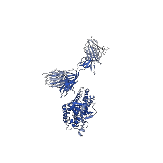 30900_7dx9_A_v1-2
Trypsin-digested S protein of SARS-CoV-2 bound with PD of ACE2 in the conformation 3 (3 up RBD and 2 PD bound)