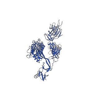 30900_7dx9_B_v1-2
Trypsin-digested S protein of SARS-CoV-2 bound with PD of ACE2 in the conformation 3 (3 up RBD and 2 PD bound)