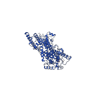 30904_7dxc_A_v1-1
Structure of TRPC3 at 3.06 angstrom in low calcium state