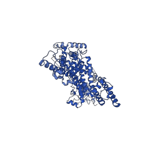 30904_7dxc_D_v1-1
Structure of TRPC3 at 3.06 angstrom in low calcium state