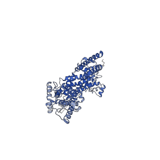 30905_7dxd_A_v1-1
Structure of TRPC3 at 3.9 angstrom in 1340 nM free calcium state