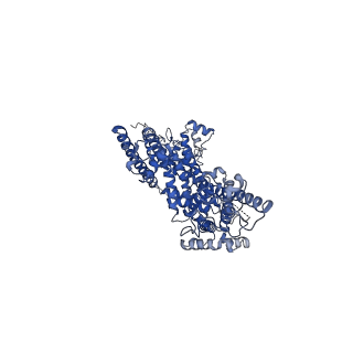 30905_7dxd_B_v1-1
Structure of TRPC3 at 3.9 angstrom in 1340 nM free calcium state