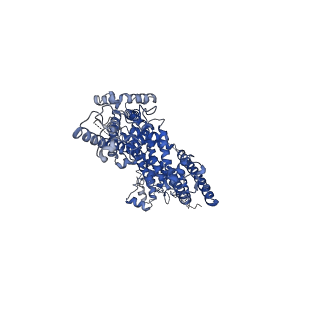 30905_7dxd_C_v1-1
Structure of TRPC3 at 3.9 angstrom in 1340 nM free calcium state