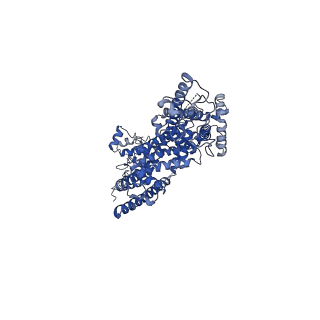 30905_7dxd_D_v1-1
Structure of TRPC3 at 3.9 angstrom in 1340 nM free calcium state