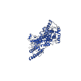 30906_7dxe_B_v1-1
Structure of TRPC3 gain of function mutation R803C at 3.2 angstrom in 1340nM free calcium state