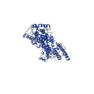 30906_7dxe_C_v1-1
Structure of TRPC3 gain of function mutation R803C at 3.2 angstrom in 1340nM free calcium state