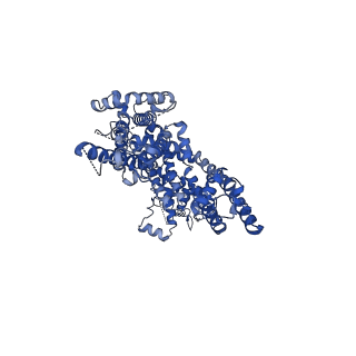30907_7dxf_A_v1-1
Structure of BTDM-bound human TRPC6 nanodisc at 2.9 angstrom in high calcium state