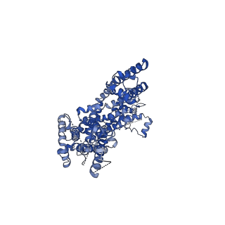 30907_7dxf_B_v1-1
Structure of BTDM-bound human TRPC6 nanodisc at 2.9 angstrom in high calcium state