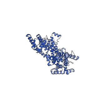 30907_7dxf_C_v1-1
Structure of BTDM-bound human TRPC6 nanodisc at 2.9 angstrom in high calcium state