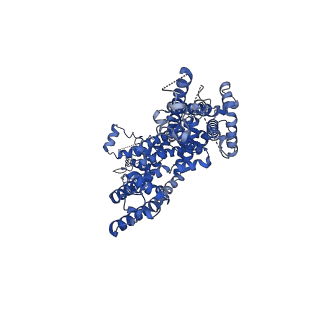 30907_7dxf_D_v1-1
Structure of BTDM-bound human TRPC6 nanodisc at 2.9 angstrom in high calcium state