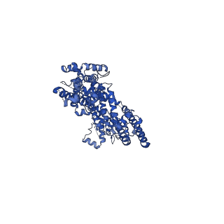 30908_7dxg_C_v1-1
Structure of SAR7334-bound TRPC6 at 2.9 angstrom