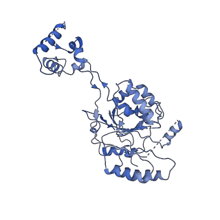 30910_7dxi_A_v1-1
Structure of Drosophila melanogaster GlcNAc-1-phosphotransferase
