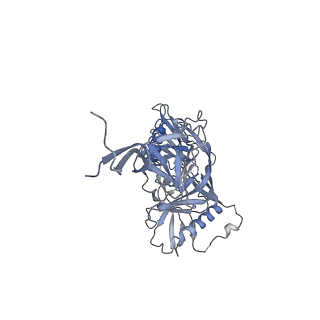 27776_8dy6_A_v1-0
Vaccine elicited Antibody MU89+S27Y bound to CH848.D949.10.17_N133D_N138T.DS.SOSIP.664 HIV-1 Env trimer