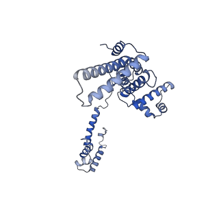 27777_8dy7_F_v1-1
Streptomyces venezuelae RNAP transcription open promoter complex with WhiA and WhiB transcription factors