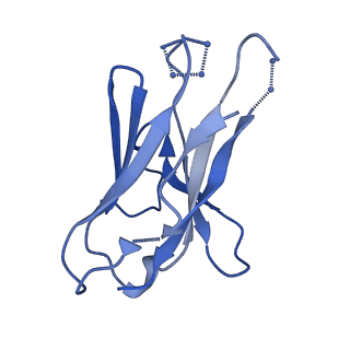 27781_8dyt_B_v1-0
Cryo-EM structure of 227 Fab in complex with (NPNA)8 peptide