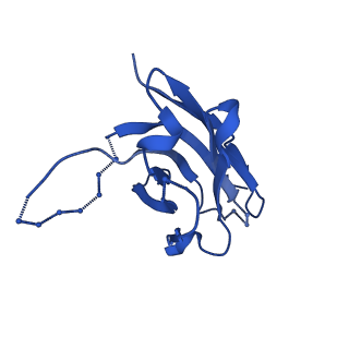 27781_8dyt_C_v1-0
Cryo-EM structure of 227 Fab in complex with (NPNA)8 peptide