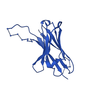 27781_8dyt_H_v1-0
Cryo-EM structure of 227 Fab in complex with (NPNA)8 peptide