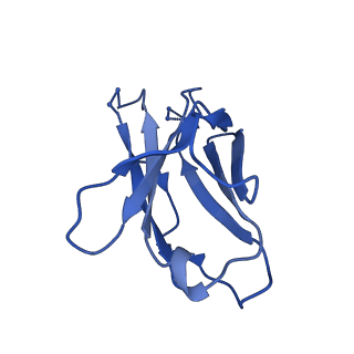 27781_8dyt_N_v1-0
Cryo-EM structure of 227 Fab in complex with (NPNA)8 peptide