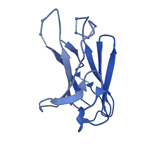 27781_8dyt_P_v1-0
Cryo-EM structure of 227 Fab in complex with (NPNA)8 peptide