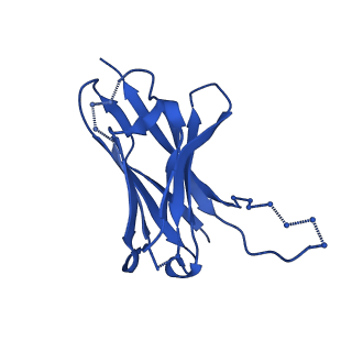 27781_8dyt_Q_v1-0
Cryo-EM structure of 227 Fab in complex with (NPNA)8 peptide