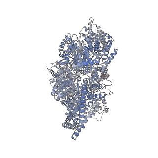 27782_8dyu_A_v1-0
Structure of human cytoplasmic dynein-1 bound to two Lis1 proteins