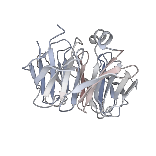 27782_8dyu_C_v1-0
Structure of human cytoplasmic dynein-1 bound to two Lis1 proteins