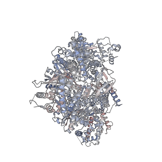 27783_8dyv_A_v1-0
Structure of human cytoplasmic dynein-1 bound to one Lis1