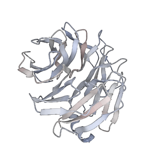 27783_8dyv_B_v1-0
Structure of human cytoplasmic dynein-1 bound to one Lis1