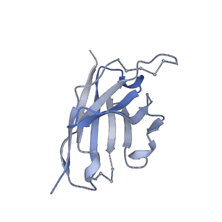 27784_8dyw_A_v1-0
Cryo-EM structure of 239 Fab in complex with recombinant shortened Plasmodium falciparum circumsporozoite protein (rsCSP)