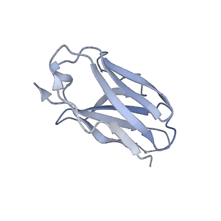 27784_8dyw_B_v1-0
Cryo-EM structure of 239 Fab in complex with recombinant shortened Plasmodium falciparum circumsporozoite protein (rsCSP)