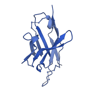 27784_8dyw_E_v1-0
Cryo-EM structure of 239 Fab in complex with recombinant shortened Plasmodium falciparum circumsporozoite protein (rsCSP)