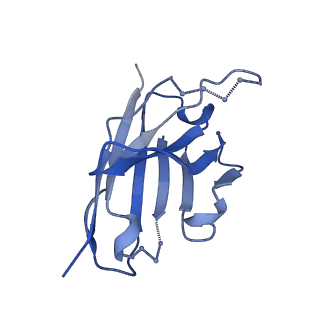 27784_8dyw_H_v1-0
Cryo-EM structure of 239 Fab in complex with recombinant shortened Plasmodium falciparum circumsporozoite protein (rsCSP)