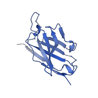27784_8dyw_O_v1-0
Cryo-EM structure of 239 Fab in complex with recombinant shortened Plasmodium falciparum circumsporozoite protein (rsCSP)