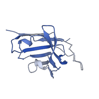 27784_8dyw_Q_v1-0
Cryo-EM structure of 239 Fab in complex with recombinant shortened Plasmodium falciparum circumsporozoite protein (rsCSP)