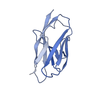 27784_8dyw_R_v1-0
Cryo-EM structure of 239 Fab in complex with recombinant shortened Plasmodium falciparum circumsporozoite protein (rsCSP)