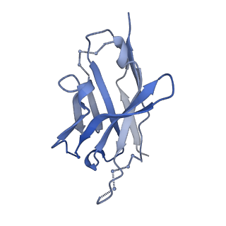 27784_8dyw_S_v1-0
Cryo-EM structure of 239 Fab in complex with recombinant shortened Plasmodium falciparum circumsporozoite protein (rsCSP)