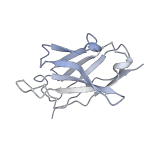 27784_8dyw_U_v1-0
Cryo-EM structure of 239 Fab in complex with recombinant shortened Plasmodium falciparum circumsporozoite protein (rsCSP)